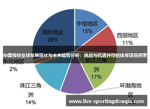 中国慢投垒球发展现状与未来趋势分析：挑战与机遇并存的体育项目探索