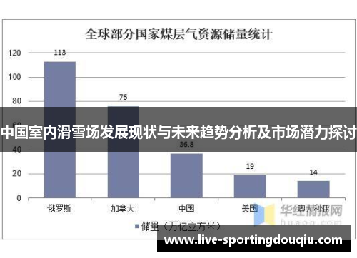 中国室内滑雪场发展现状与未来趋势分析及市场潜力探讨